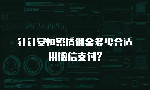 钉钉安恒密盾佣金多少合适用微信支付？