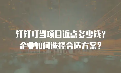 钉钉叮当项目返点多少钱？企业如何选择合适方案？