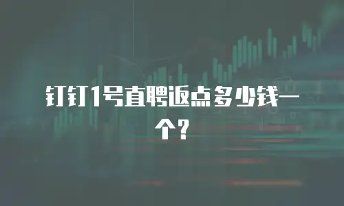 钉钉1号直聘返点多少钱一个？
