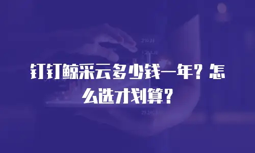 钉钉鲸采云多少钱一年？怎么选才划算？