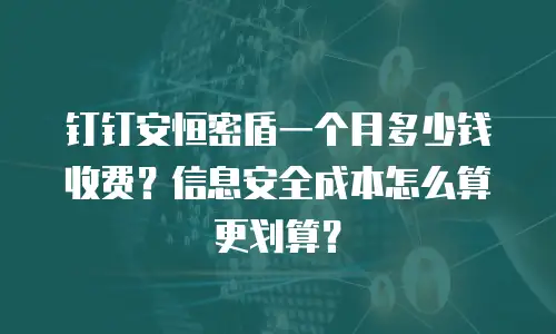 钉钉安恒密盾一个月多少钱收费？信息安全成本怎么算更划算？