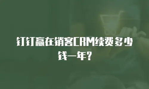 钉钉赢在销客CRM续费多少钱一年？