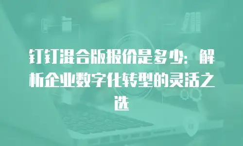 钉钉混合版报价是多少：解析企业数字化转型的灵活之选