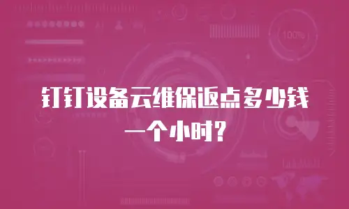 钉钉设备云维保返点多少钱一个小时？