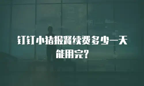 钉钉小猪报餐续费多少一天能用完？
