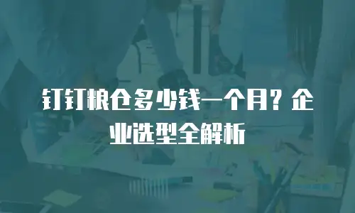 钉钉粮仓多少钱一个月？企业选型全解析