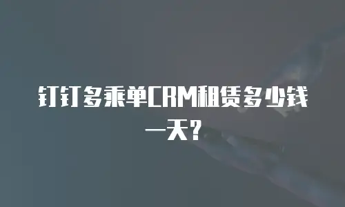 钉钉多乘单CRM租赁多少钱一天？