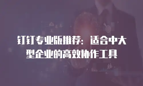 钉钉专业版推荐：适合中大型企业的高效协作工具