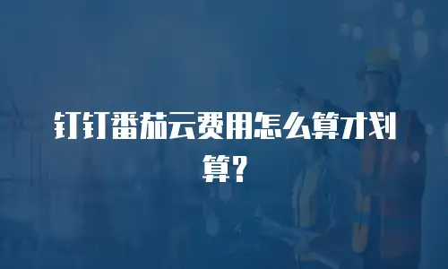 钉钉番茄云费用怎么算才划算？