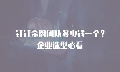 钉钉金牌团队多少钱一个？企业选型必看