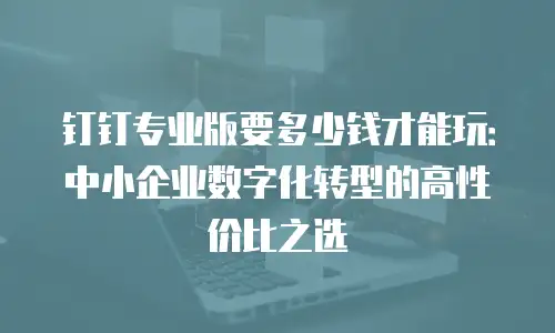钉钉专业版要多少钱才能玩：中小企业数字化转型的高性价比之选
