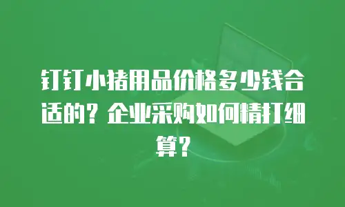 钉钉小猪用品价格多少钱合适的？企业采购如何精打细算？