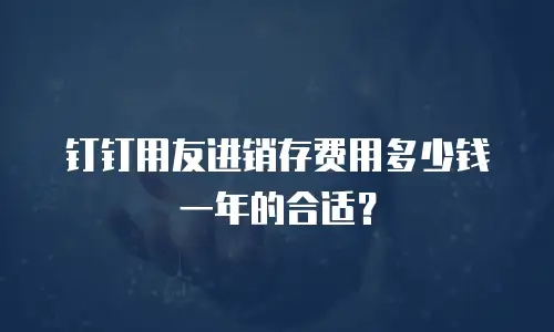 钉钉用友进销存费用多少钱一年的合适？