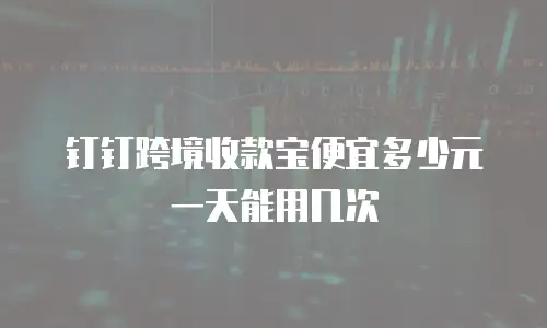 钉钉跨境收款宝便宜多少元 一天能用几次