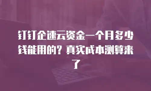 钉钉企速云资金一个月多少钱能用的？真实成本测算来了