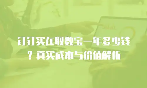 钉钉实在取数宝一年多少钱？真实成本与价值解析