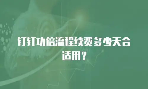 钉钉功倍流程续费多少天合适用？