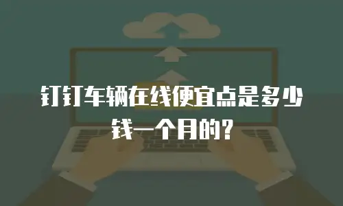 钉钉车辆在线便宜点是多少钱一个月的？