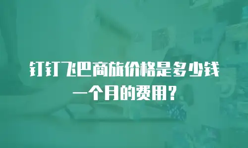 钉钉飞巴商旅价格是多少钱一个月的费用？