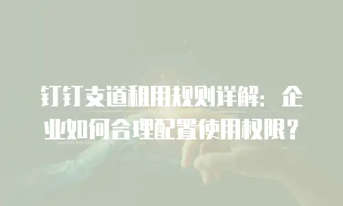 钉钉支道租用规则详解：企业如何合理配置使用权限？