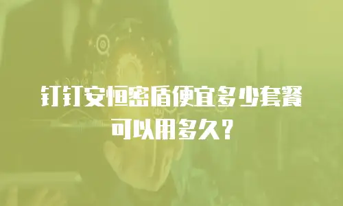 钉钉安恒密盾便宜多少套餐可以用多久？