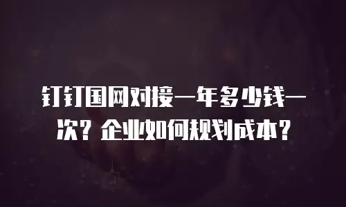 钉钉国网对接一年多少钱一次？企业如何规划成本？