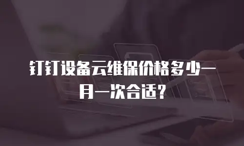 钉钉设备云维保价格多少一月一次合适？