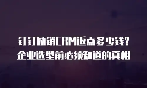钉钉励销CRM返点多少钱？企业选型前必须知道的真相