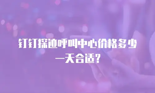 钉钉探迹呼叫中心价格多少一天合适？