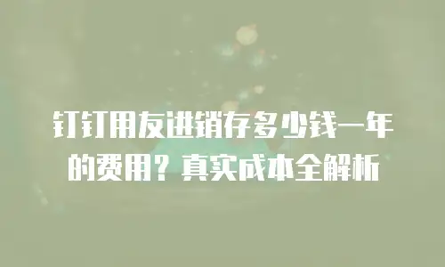 钉钉用友进销存多少钱一年的费用？真实成本全解析