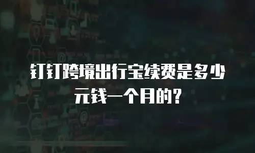 钉钉跨境出行宝续费是多少元钱一个月的？