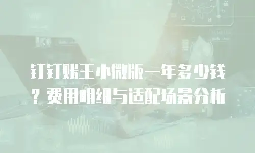 钉钉账王小微版一年多少钱？费用明细与适配场景分析
