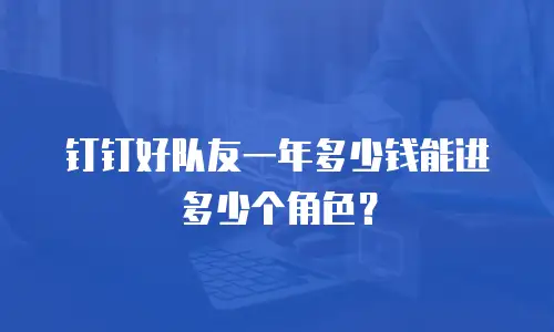 钉钉好队友一年多少钱能进多少个角色？