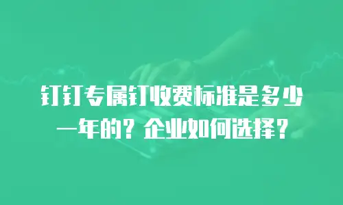 钉钉专属钉收费标准是多少一年的？企业如何选择？