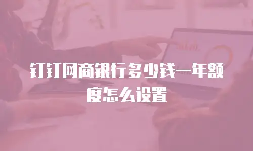 钉钉网商银行多少钱一年额度怎么设置