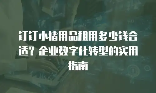 钉钉小猪用品租用多少钱合适？企业数字化转型的实用指南
