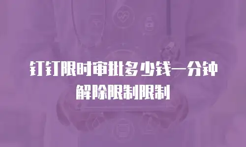 钉钉限时审批多少钱一分钟解除限制限制