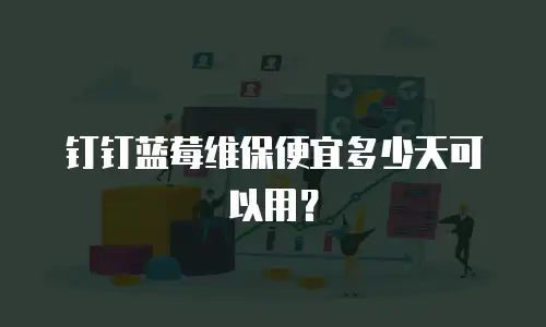 钉钉蓝莓维保便宜多少天可以用？