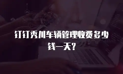 钉钉秀川车辆管理收费多少钱一天？