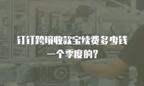 钉钉跨境收款宝续费多少钱一个季度的？