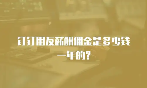 钉钉用友薪酬佣金是多少钱一年的？