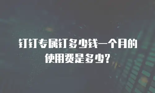 钉钉专属钉多少钱一个月的使用费是多少？
