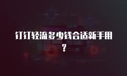 钉钉轻流多少钱合适新手用？