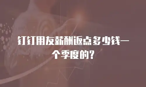 钉钉用友薪酬返点多少钱一个季度的？