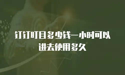 钉钉盯目多少钱一小时可以进去使用多久