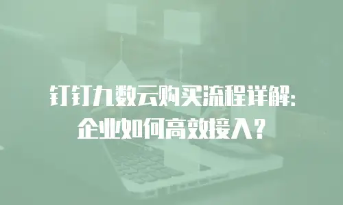 钉钉九数云购买流程详解：企业如何高效接入？