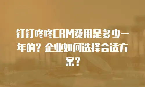 钉钉咚咚CRM费用是多少一年的？企业如何选择合适方案？