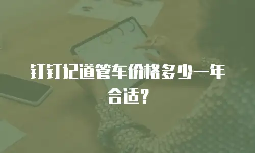 钉钉记道管车价格多少一年合适？