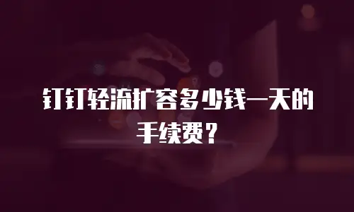 钉钉轻流扩容多少钱一天的手续费？