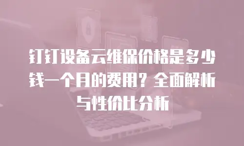 钉钉设备云维保价格是多少钱一个月的费用？全面解析与性价比分析